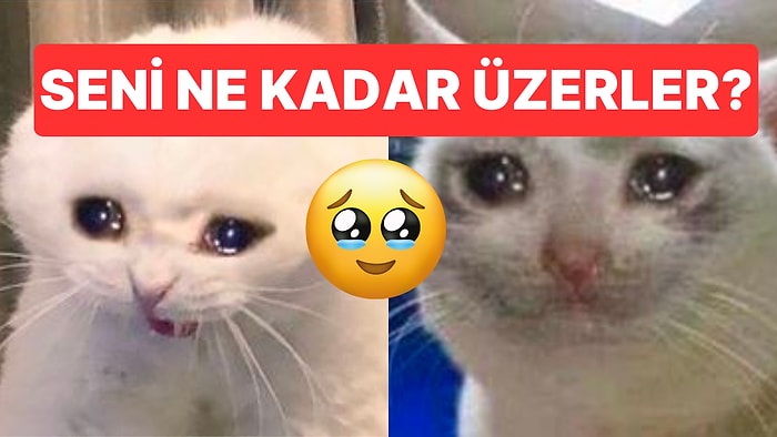 5 Soruluk Evet Hayır Testine Göre Seni Ne Kadar Üzerler?