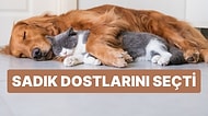 Çocuklarına Öfkesi Büyük Oldu! Milyon Dolarlık Servetini Kedi ve Köpeklerine Bıraktı