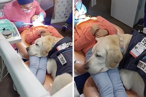 Bir dişçi randevusu sırasında insan dostuna refakat eden köpeğin videosu sosyal medyada beğeni topladı.