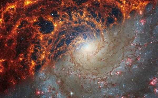 Amaç spiral galaksileri anlamaktı ve James Webb Uzay Teleskobu, inanılmaz çözünürlükte gaz kabarcıkları ve filamentleri ile kızılötesi ana damarı çok yakın zamanda görüntüledi. Bu yapıları şimdiye kadar gözlemlenen en küçük ölçeklerde görmemizi sağlayarak, bu galaksilerdeki yıldız oluşum süreçlerine dair önemli bilgiler sundu.