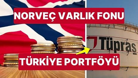 Norveç Varlık Fonu'ndan Türkiye'ye 1,3 Milyar Dolarlık Yatırım! İşte Fonu'nun Türkiye Portföyündeki Hisseler