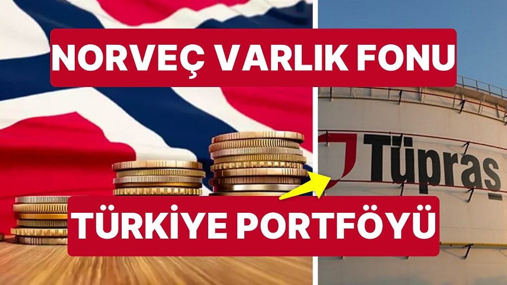 Norveç Varlık Fonu'ndan Türkiye'ye 1,3 Milyar Dolarlık Yatırım! İşte Fonu'nun Türkiye Portföyündeki Hisseler