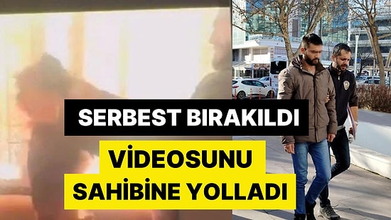 Bu Nasıl Vicdan: Köpeği Çaldı, Eziyet Edip Videosunu Sahibine Yolladı