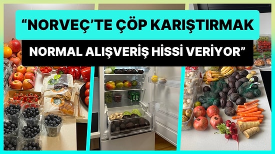 Norveç'te Çöpten Çıkanlar Bile Güzel: Çöp Karıştırmanın Alışveriş Yapmaktan Farkı Olmadığını Gösterdi!