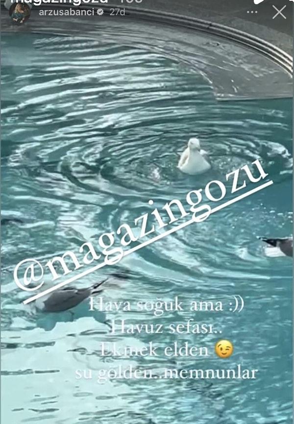 Magazin Gözü'nün aktardığına göre, Arzu Sabancı "ekmek elden, su gölden, memnunlar" yazarak havuzda yüzen ördeklerinin fotoğrafını paylaştı.