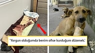 Erkeklerin Hangi Şartlar Altında Yaşayabileceklerine Verdikleri Mağaradan Hallice Örnekler