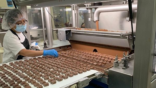 8. "Çikolata fabrikasında çalışıyorum. İki ayrı çalışma alanımız var. Birinde herkes çok iyi şartlarda çalışıyormuş gibi görünüyor. Diğer tarafta zorlu koşullarda uzun saatler boyunca çalışan insanlar oluyor."