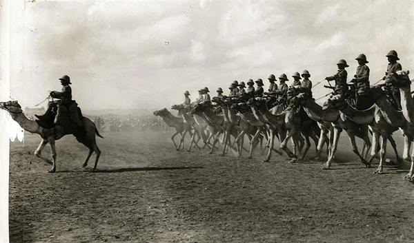15. 1913'te İngiliz imparatorluğunun Somaliland Harekatı sırasında deve süren İngiliz askerleri.