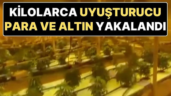 İstanbul’da Lüks Rezidansa Uyuşturucu Operasyonu: Depoyu Sera Haline Getirmişler!