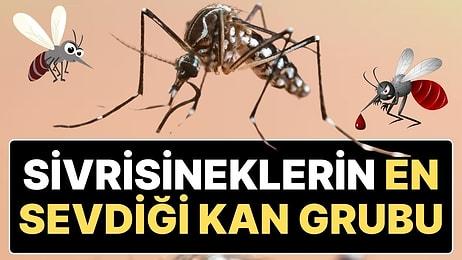 Sivrisineklerin En Çok Hangi Kan Grubundan Olanları Isırdığı Açıklandı: “60 Metreden Kokusunu Alabiliyor”