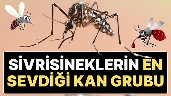 Sivrisineklerin En Çok Hangi Kan Grubundan Olanları Isırdığı Açıklandı: “60 Metreden Kokusunu Alabiliyor”