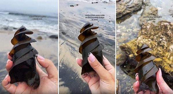 Sahilde boynuzlu köpek balığı yumurtası bulan bir kadın sosyal medyada paylaştığı video ile yeniden viral oldu.