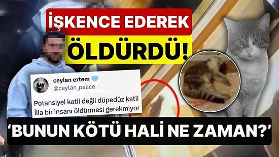 Kediyi Öldüren Caniye İyi Hal İndirimi Tartışmaların Odağında! 'Bunun Kötü Hali Ne Zaman?'