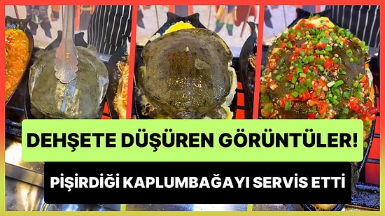 Pişirilen Kaplumbağanın Servis Edildiği Dehşete Düşüren Görüntüler!