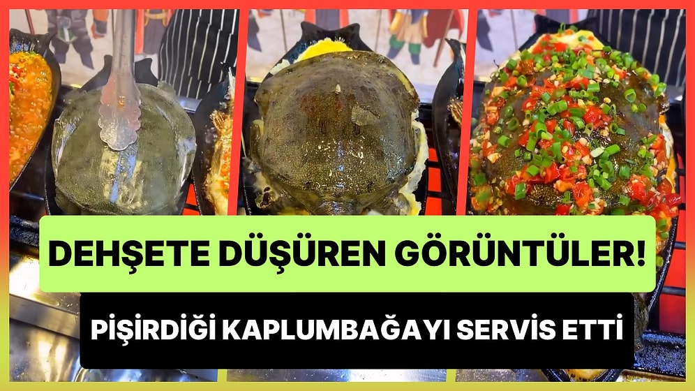 Pişirilen Kaplumbağanın Servis Edildiği Dehşete Düşüren Görüntüler!