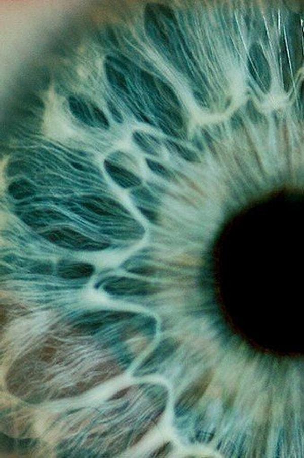 Mavi gözlerin daha koyu göz renkleriyle birlikte varlığını sürdürmesi, bilim insanlarının yıllardır ilgisini çekmiş ve evrimsel avantajları hakkında spekülasyonlara yol açmıştır.