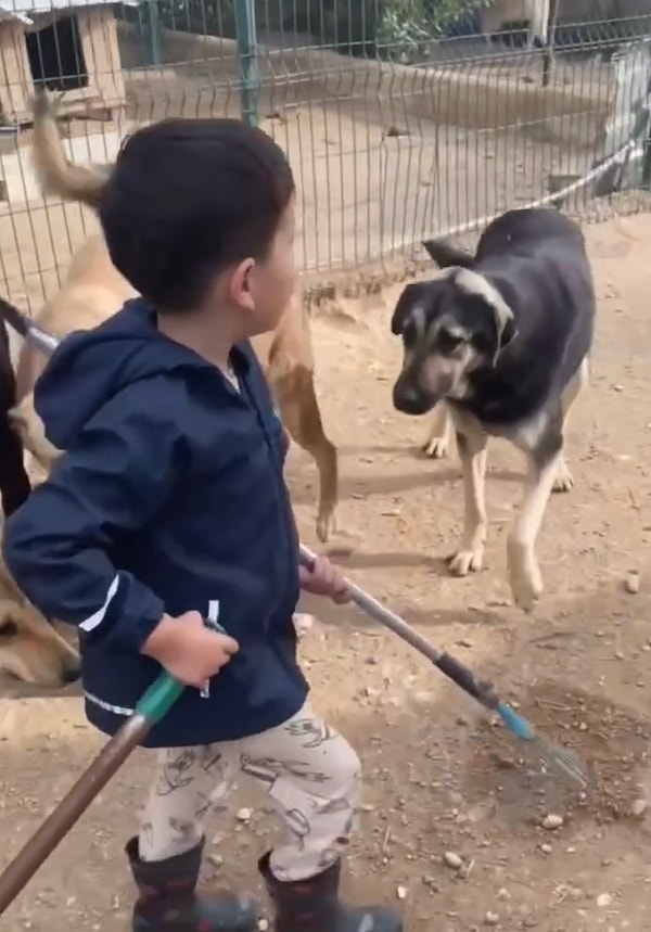 Özellikle köpek dostlarıyla geçirdiği anları izlerken insanın tebessüm etmemesi çok zordu.