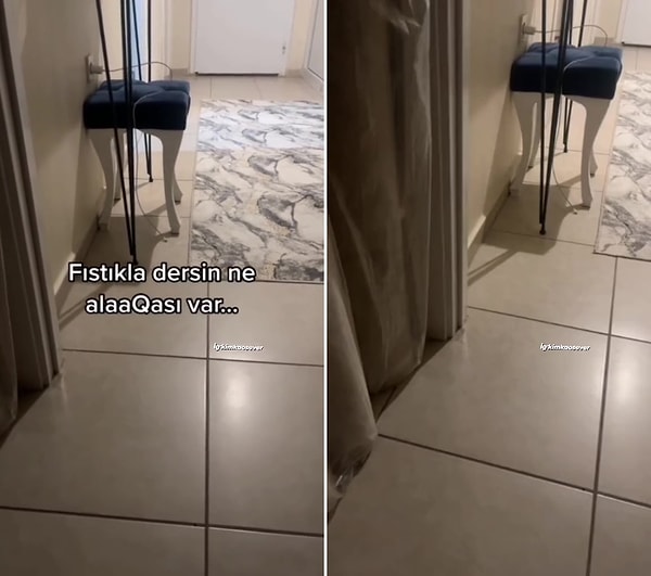 O ufaklık sözlerinin devamında ise, 'Fıstıkla desin ne alakası var? Ders çalışınca fıstık mı veriyorlar?' dedi.