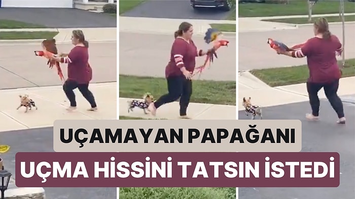 Uçamayan Engelli Papağanı Uçabiliyormuş Gibi Hissetsin Diye Her Gün Papağanıyla Birlikte Koşan Kadın