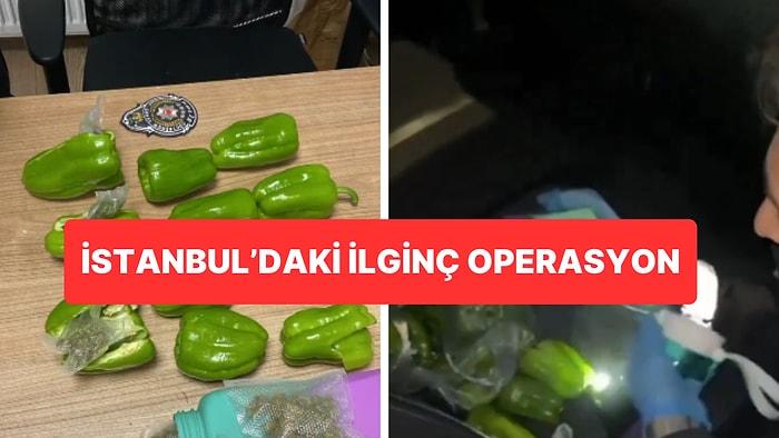 İstanbul’daki Uyuşturucu Operasyonu: Dolmalık Biberlerin İçerisine Saklanmış