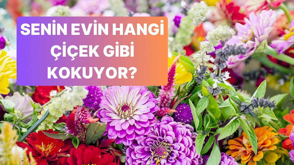 Senin Evin Hangi Çiçek Gibi Kokuyor?