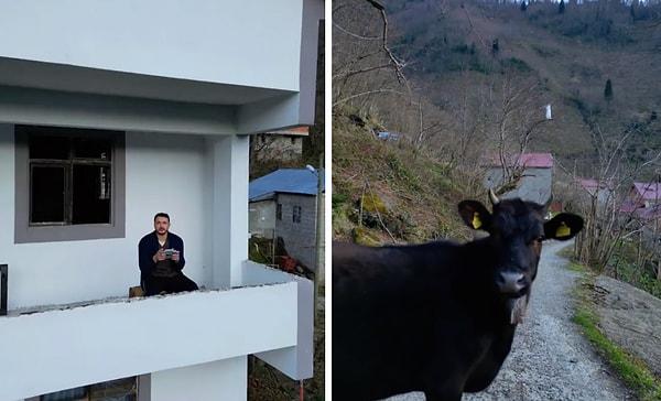 Bir genç anneannesi inekleri almasını söyleyince bunu drone ile oturduğu yerden yaptı.
