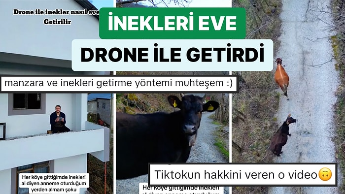 Karadenizli Genç Anneannesi İnekleri Almasını Söyleyince Hepsini Drone ile Oturduğu Yerden Eve Getirdi
