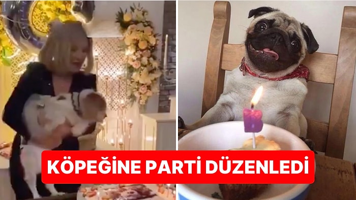 Bir Köpek İçin Düzenlenen Doğum Günü Partisine Yaklaşık 100 Davetli Katıldı