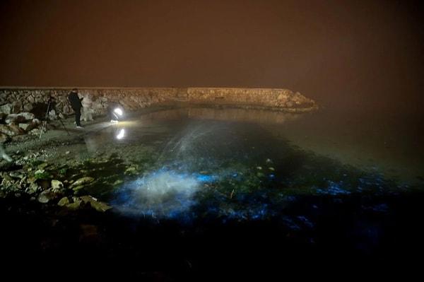 Marmara Denizi'nin Bursa sahilinde gece yarısı deniz suyunun renk değiştirmesi görenleri şaşırttı.