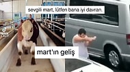 Mart Ayının Gelişinden Pek Umudu Olmadığını Viral Kesitlerle Anlatarak Güldüren Pesimistler