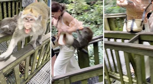 Bir kadın Bali tatili sırasında bir maymunun saldırısına uğradı.