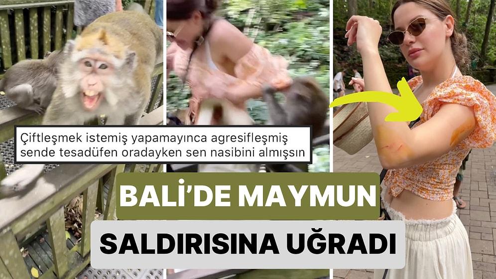 Çıktığı Bali Tatilinde Bir Maymunun Saldırısına Uğrayan Kadın Yaralandı: O Anlar Kamerasına Yansıdı