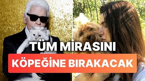 Şarkıcı Pınar Soykan Evini ve Mirasını Köpeğine Bırakacak: "Karl Lagerfeld Kedisine Bıraktı Biliyorsunuz"