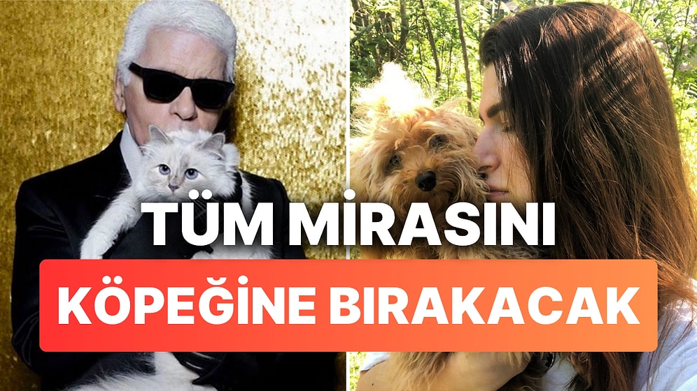Şarkıcı Pınar Soykan Evini ve Mirasını Köpeğine Bırakacak: "Karl Lagerfeld Kedisine Bıraktı Biliyorsunuz"