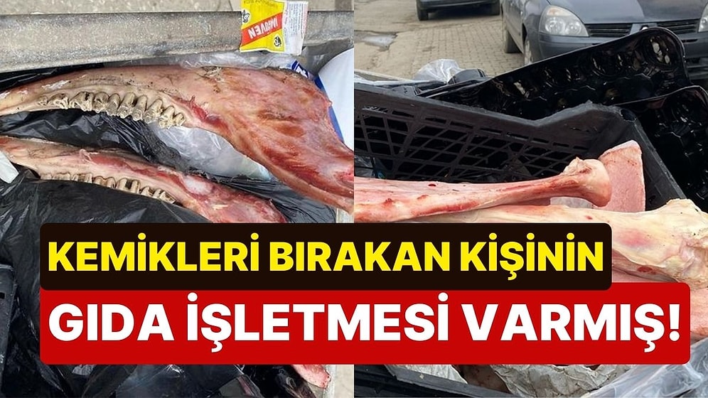 Çöpten Çıkan At Kemiklerinin Sahibi Belli Oldu: Gıda Üzerine İşletmesi Var!