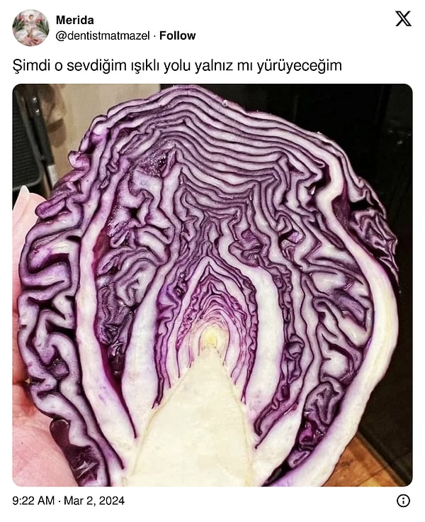 1. Sanat kırmızı lahanada!