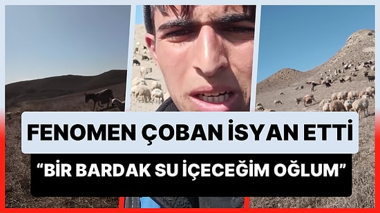 Fenomen Çoban Yunus Başak, Koyunları Otlattığı Sırada Kendisinden Su Kaçıran Eşeğe İsyan Etti