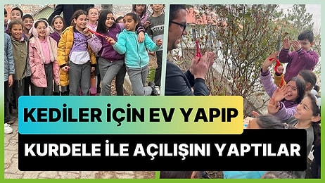 Okula Gelen Kediler İçin Ev Yapıp Öğretmenlerine Kurdele Kestirerek Açılışını Yapan Çocuklar