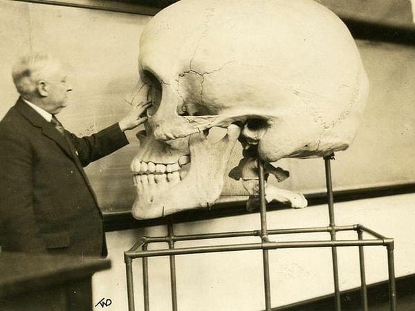 8. Harris P. Mosher, 1929'da Harvard Tıp Fakültesi'nde ders veriyorken. Eğitim amaçlı olan bu dev kafatası 1890'larda yapılmıştı.