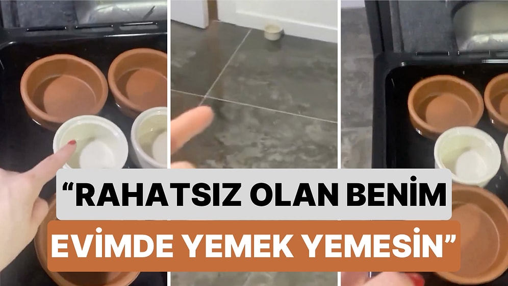 Bir Kadın Kedisinin Mama Kaplarında Yemek de Yaptığını Söyledi: "Rahatsız Olan Evimde Yemek Yemesin"