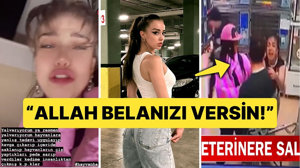 Kedisinin Yanlış Tedavi Yüzünden Öldüğünü Öne Süren Sosyal Medya Fenomeni Veterinere Saldırdı!