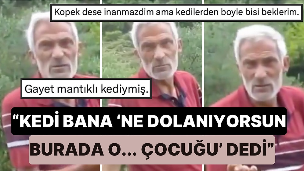 Define Aramaya Giden Bir Vatandaş Orada Bulunan Bir Kedinin Kendisiyle Konuştuğunu İddia Etti