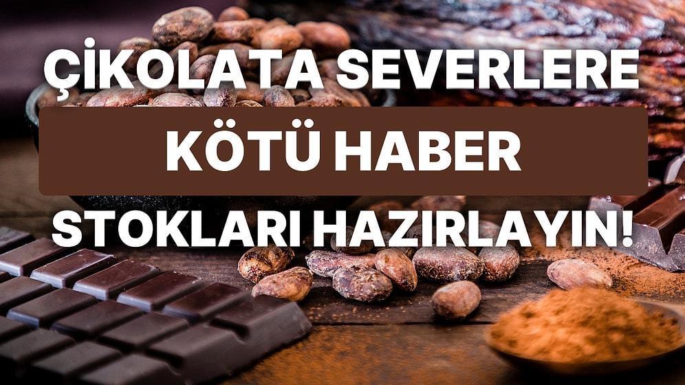 Çikolata Severler Stokları Hazırlayın: Kakao Fiyatları Zirveye Tırmanmaya Devam Ediyor