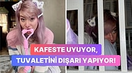 Kendini Köpek Olarak Tanımlayan Twitch Yayıncısı Kafaları Allak Bullak Etti