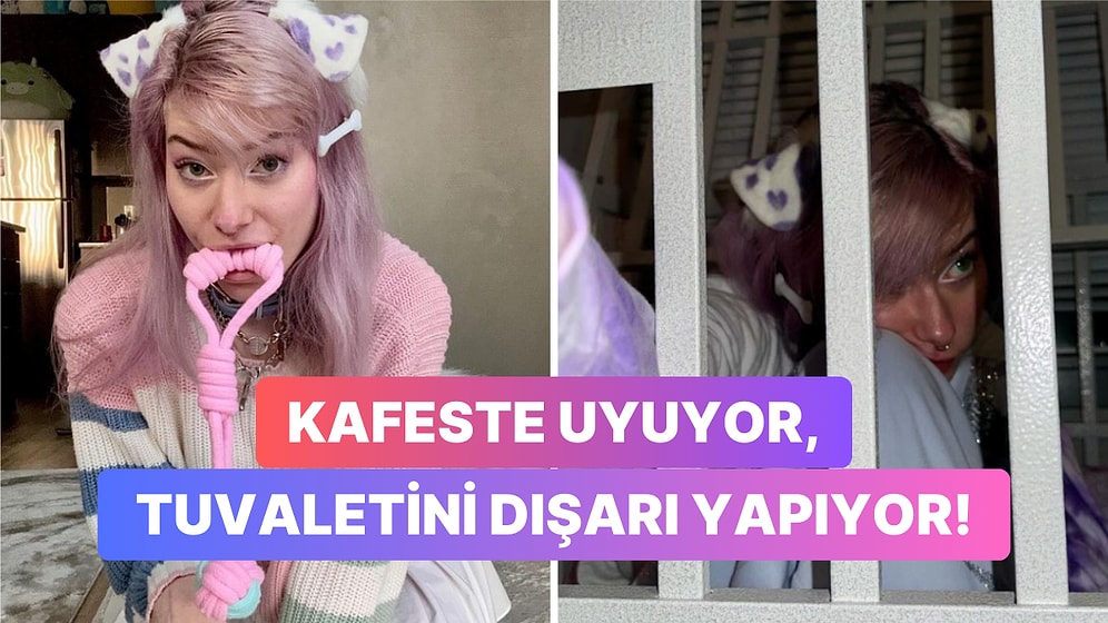 Kendini Köpek Olarak Tanımlayan Twitch Yayıncısı Kafaları Allak Bullak Etti