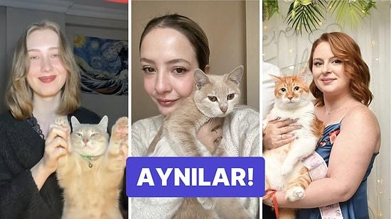 Kedileriyle Fotoğraf Paylaşan Kullanıcıların Açıklanamayan Benzerliklerine İnanamayacaksınız!