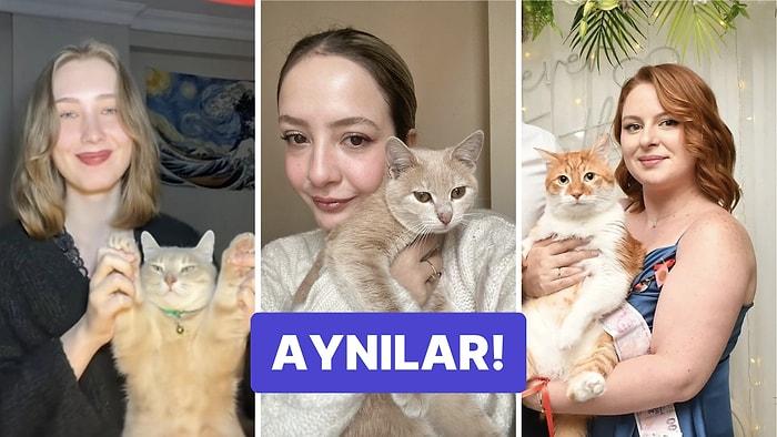 Kedileriyle Fotoğraf Paylaşan Kullanıcıların Açıklanamayan Benzerliklerine İnanamayacaksınız!