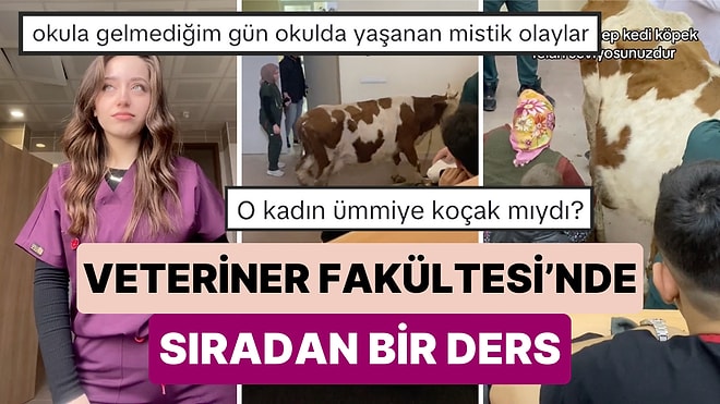 Veteriner Fakültesi'nde Bir Öğrencinin Derste Çektiği Görüntüleri Görünce Veteriner Olmak İsteyeceksiniz