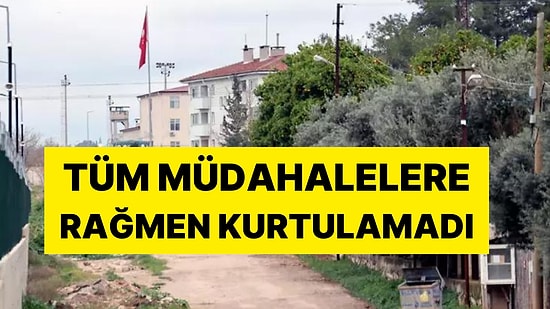 Korkunç Ölüm: 3 Yaşındaki Elif, Çamaşır Makinesinde Havasız Kaldı!