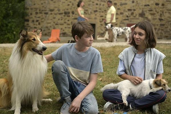 5. Lassie: Yepyeni Bir Macera
